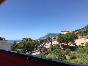 Charmant 2 Pièces Vue sur Mer et MONTE-CARLO à ROQUEBRUNE CAP MARTIN